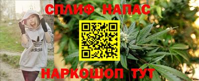 тгк Пугачёв