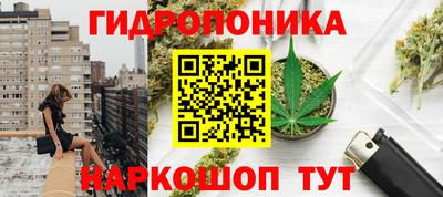 прущие крисы Пыть-Ях