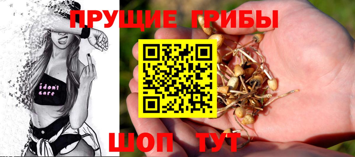 Ступино  купить наркотик  Вход с VPN  Псилоцибиновые грибы MAGIC MUSHROOMS 